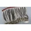 Whiting 100 Saddle Hackle Pack in Dark Dun